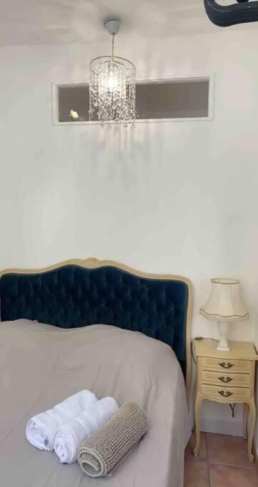 Magnifique Appartement Plein Coeur Avignon Intra-Muros Zewnętrze zdjęcie
